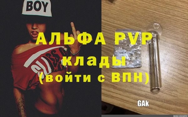 гашик Баксан