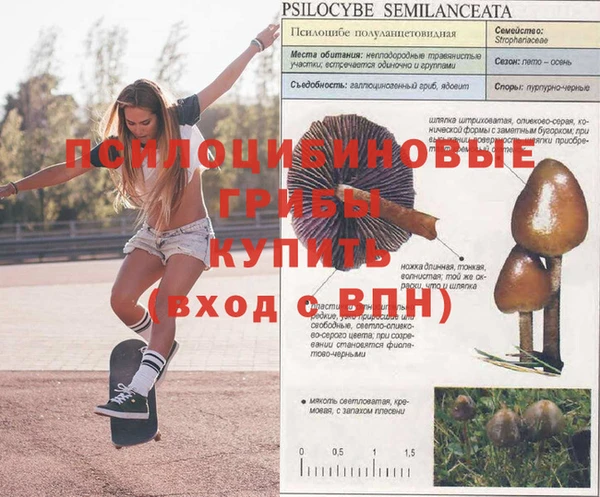 соль курить ск Балабаново