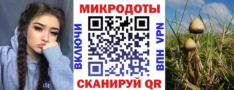 Галлюциногенные грибы GOLDEN TEACHER  Волгореченск 