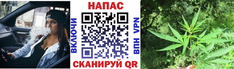 мориарти Telegram  Волгореченск  МАРИХУАНА индика 